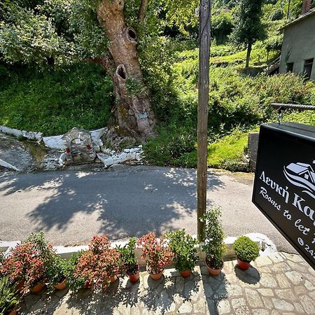 Λευκή Καμέλια Hotel Anilio Pelion Eksteriør billede
