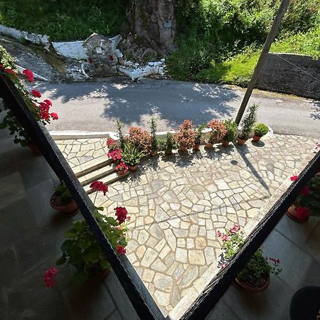 Λευκή Καμέλια Hotel Anilio Pelion Eksteriør billede