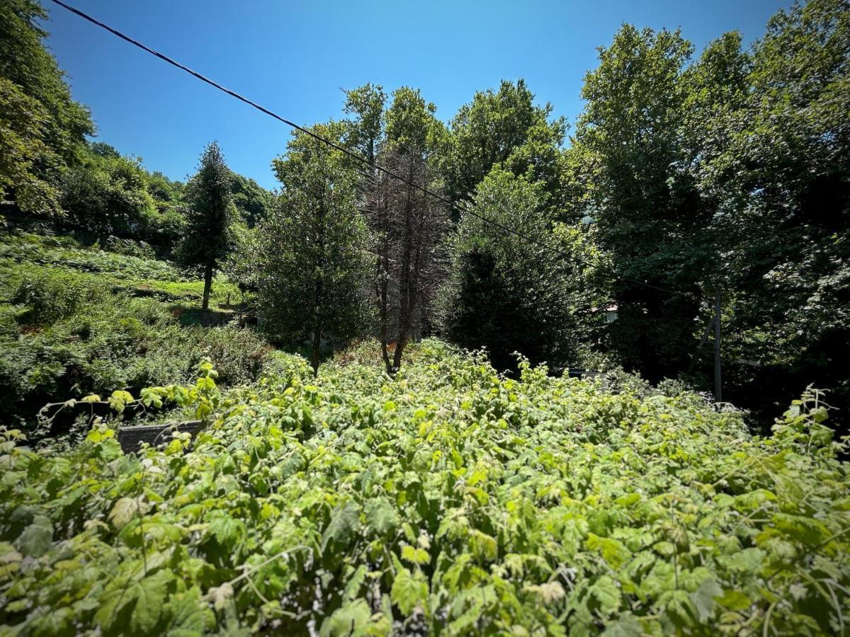 Λευκή Καμέλια Hotel Anilio Pelion Eksteriør billede