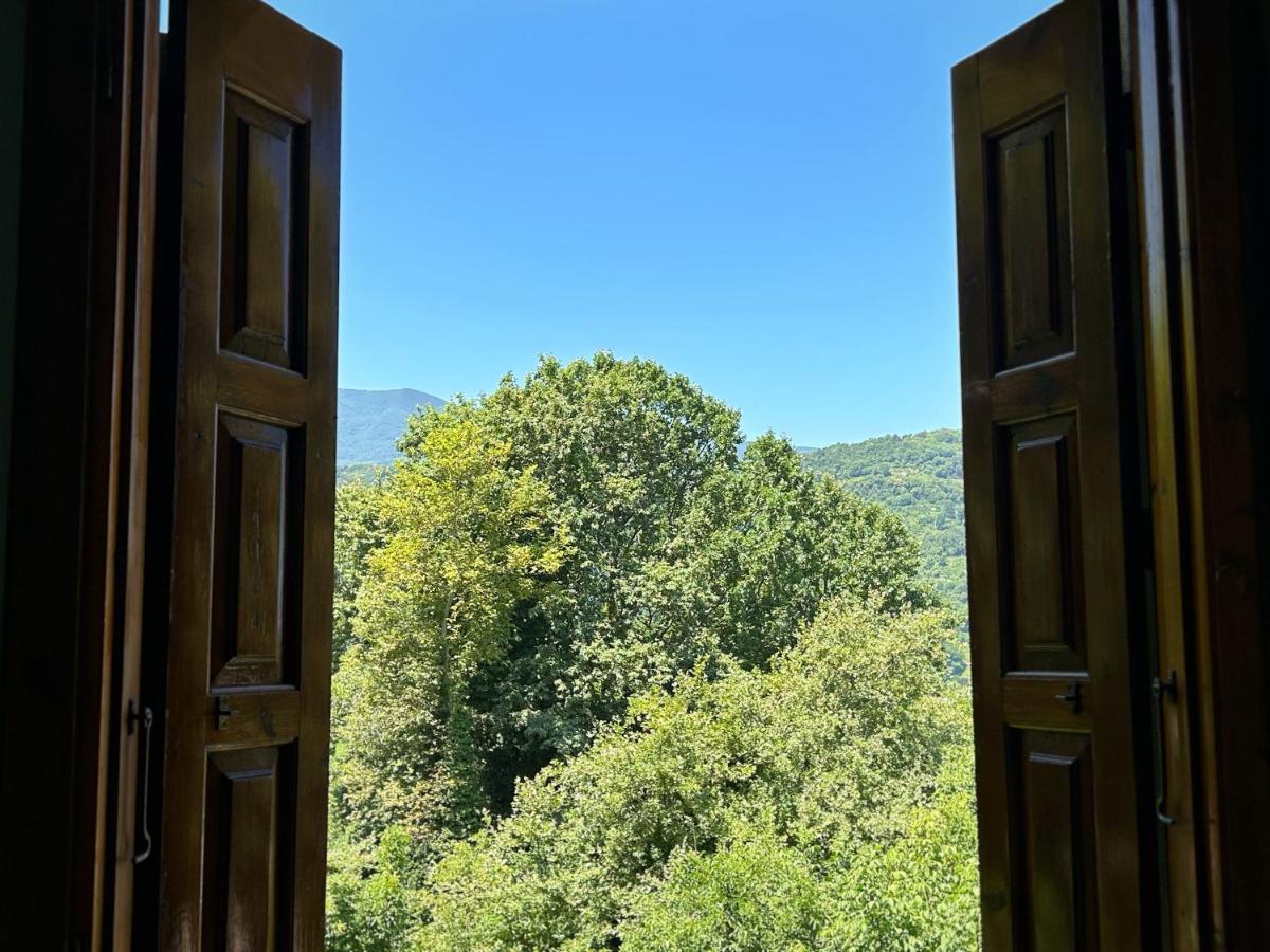 Λευκή Καμέλια Hotel Anilio Pelion Eksteriør billede