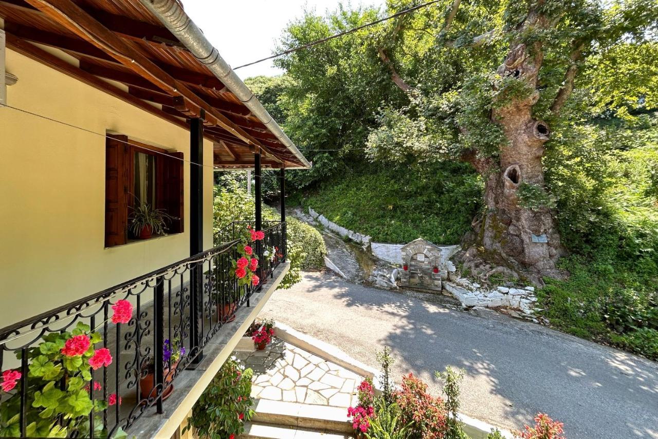 Λευκή Καμέλια Hotel Anilio Pelion Eksteriør billede