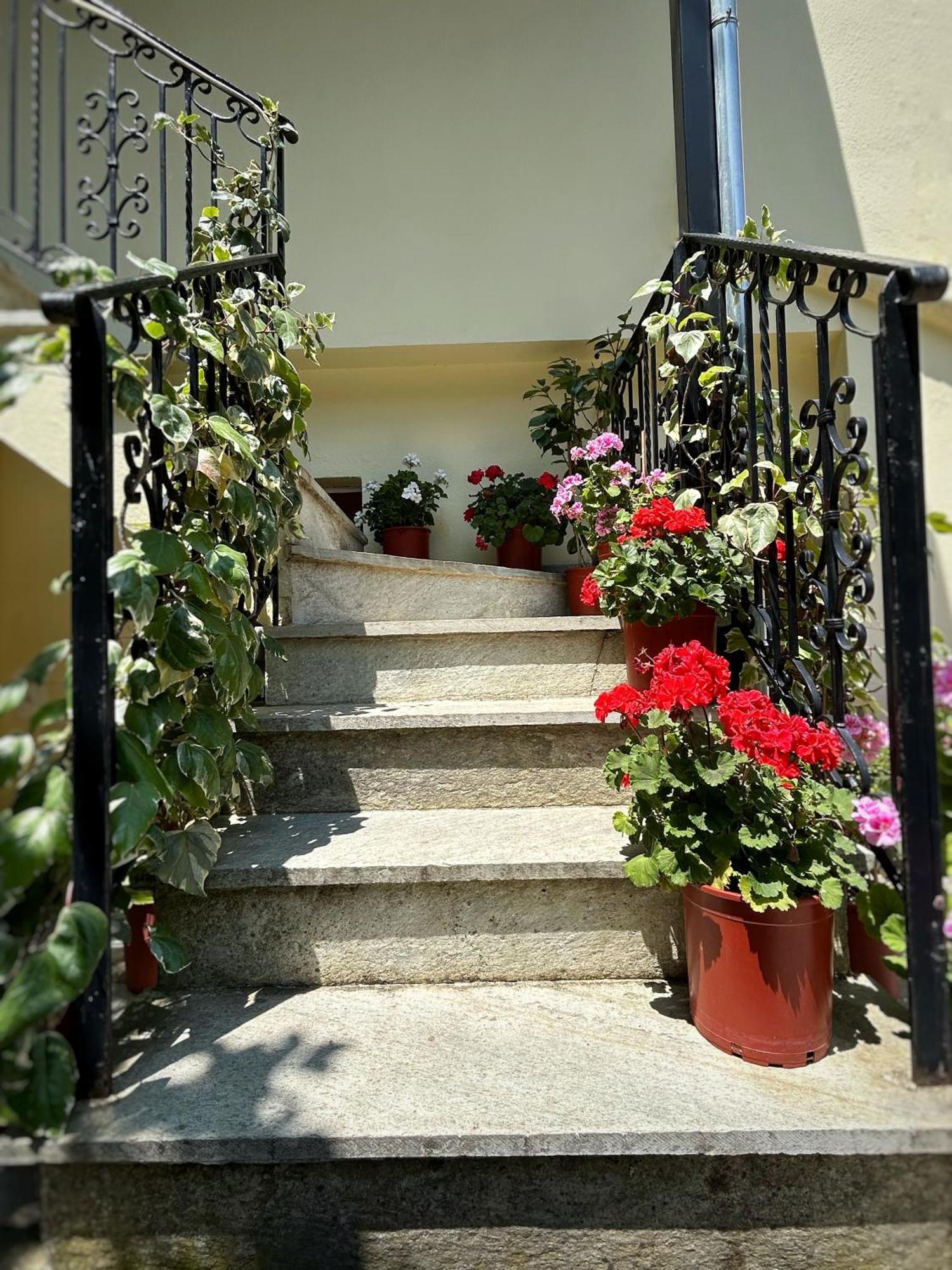 Λευκή Καμέλια Hotel Anilio Pelion Eksteriør billede