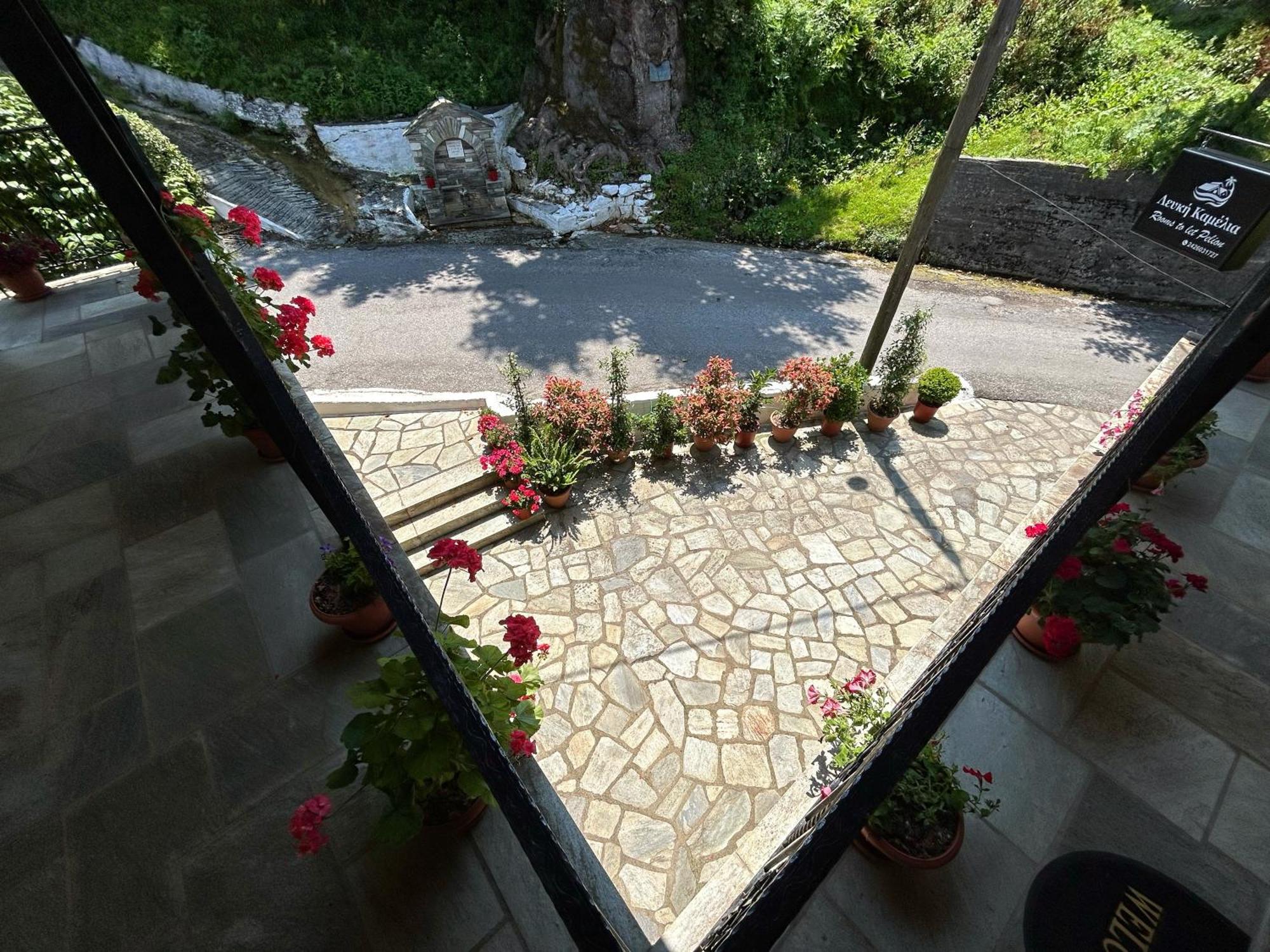 Λευκή Καμέλια Hotel Anilio Pelion Eksteriør billede