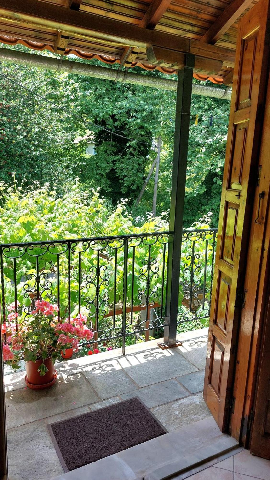 Λευκή Καμέλια Hotel Anilio Pelion Eksteriør billede